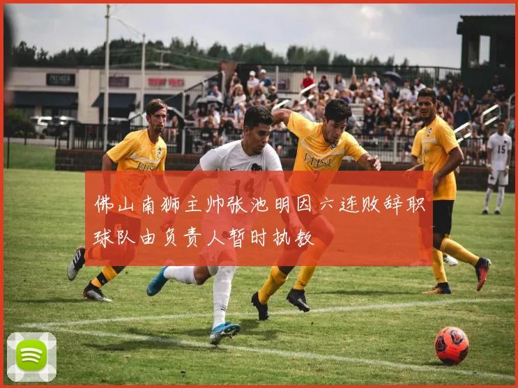 佛山南狮主帅张池明因六连败辞职球队由负责人暂时执教